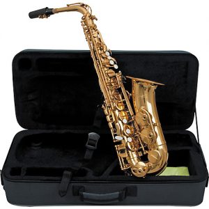 Professional Alto Saxophone with Case Kenya