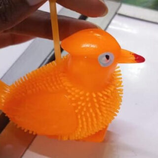 Bird Puffer Balls with Light and Sound - Kenya