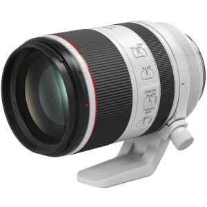Canon RF 70-200mm f/2.8L IS USM Lens - Kenya