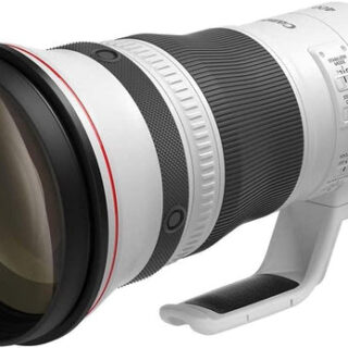 Canon RF 400mm F2.8L IS USM Lens - Kenya