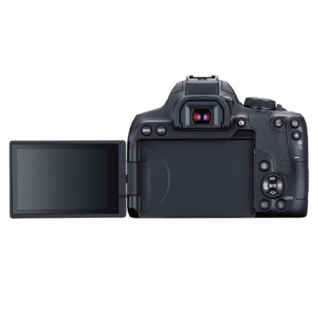 eos850d1 5e30c349 e8cf 435d aeba 5b5e028cf506 600x | +254720548999