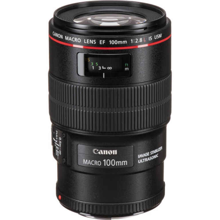 Canon EF 100mm f/2.8L Macro IS USM Lens - Kenya