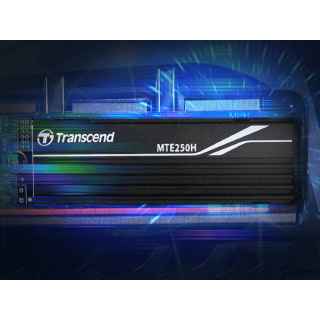 Transcend TS1TMTE250H 1TB 250H NVMe PCIe Gen4X4 M.2 2280 SSD - Kenya