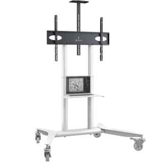 Mobile TV stand for TVs 55"-90", max 198 lbs, white TS1871