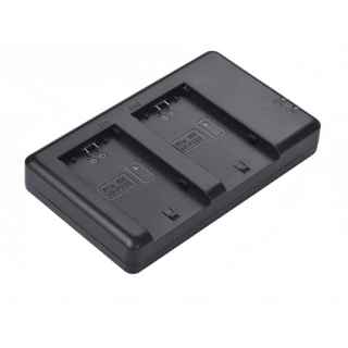 FB TECH FB-DC-NP-FZ100 dbl Dual Slot Quick Charger - Kenya