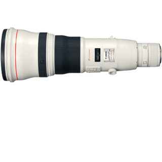 Canon EF 800mm f/5.6L IS USM Lens - Kenya