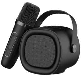 Havit SK819BT Mini Portable Karaoke Speaker - Kenya