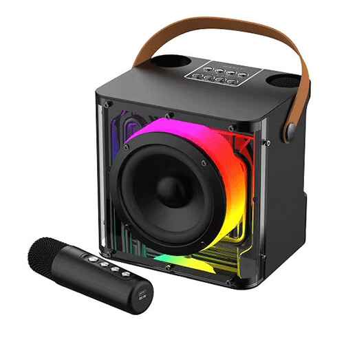 HAVIT SK822BT Mini Karaoke Speaker With Mic And RGB Lighting - Kenya