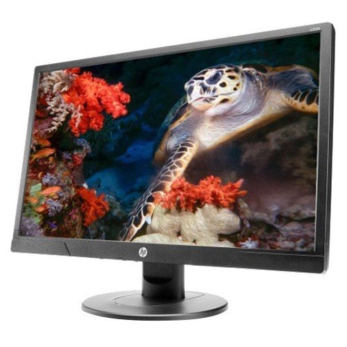 HP V214a 20.7 Inch Widescreen Monitor (1FR84AS) - Kenya