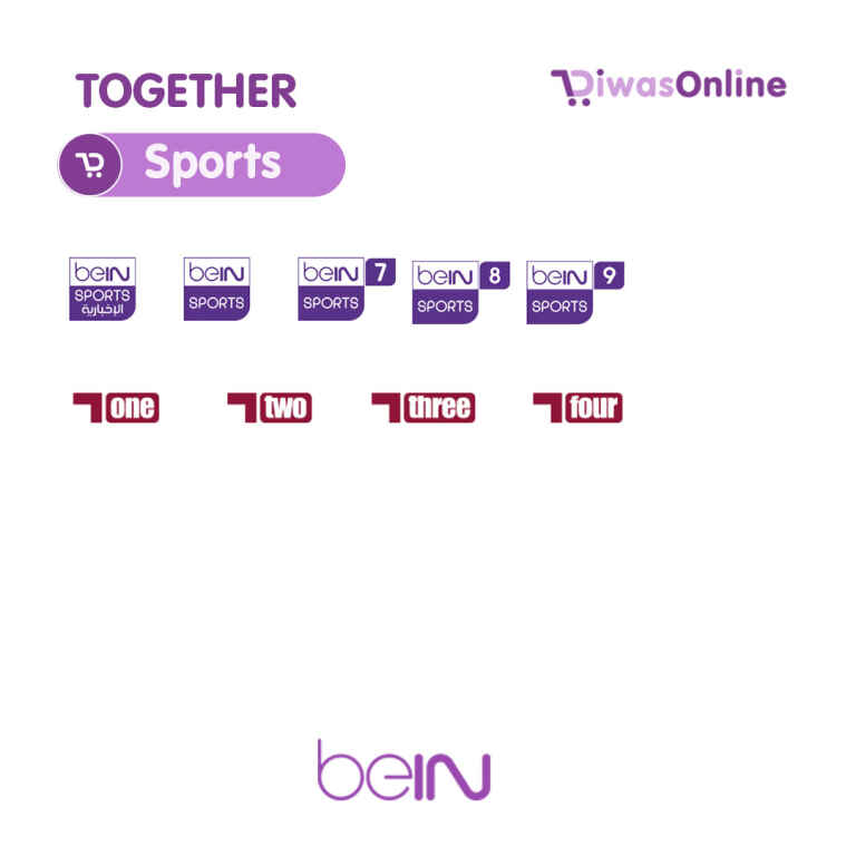 beIN TOGETHER New Subscription 6 Months-beIN Receiver PVR Plus