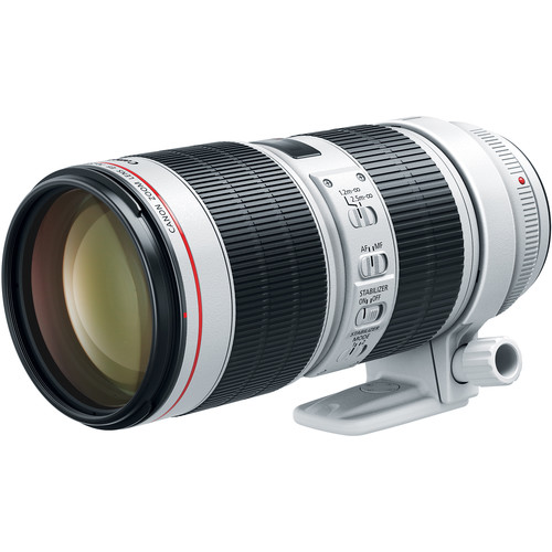 Canon EF 70-200mm f/2.8L IS III USM Lens - Kenya
