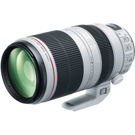 Canon EF 100-400mm f/4.5-5.6L IS II USM Lens - Kenya