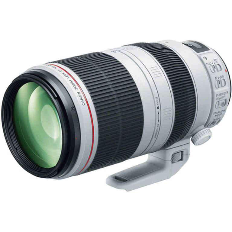 Canon EF 100-400mm f/4.5-5.6L IS II USM Lens - Kenya