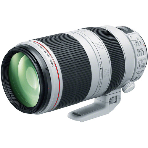 Canon EF 100-400mm f/4.5-5.6L IS II USM Lens - Kenya
