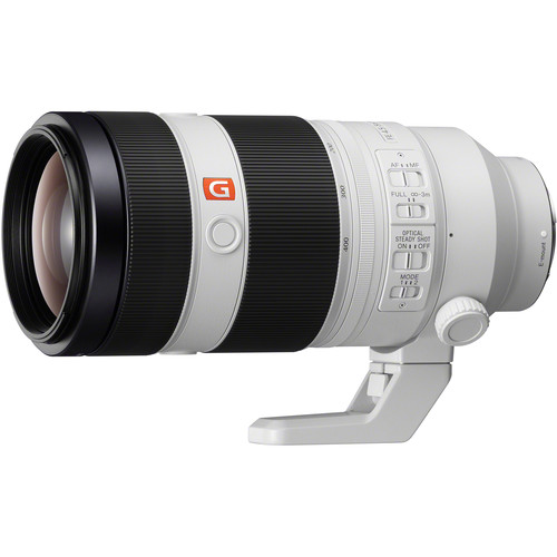 Sony FE 100-400mm f/4.5-5.6 GM OSS Lens - Kenya