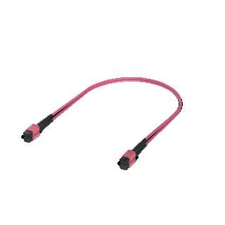Ubiquiti UACC-OFC-MA-MPMP-10M OM4 MPO-12
  UPC Fiber Patch Cable