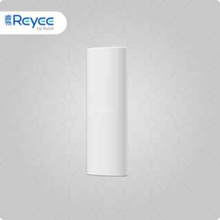 Ruijie Reyee RG-RAP62-OD AX3000 Wi-Fi 6 Indoor/Outdoor Versatile Access Point