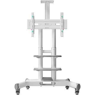 Mobile TV stand for TVs and professional displays 40"-70", max 133 lbs, white TS1552