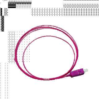 ipr10220018 0 227731 | +254720548999